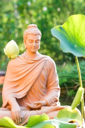 荷花塘荷花佛雕像禅意图片